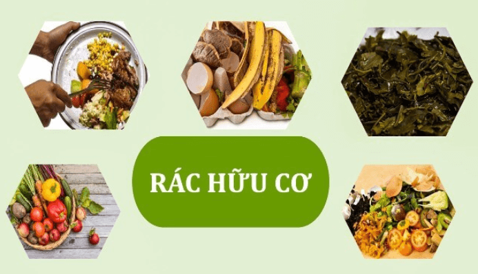 Rác thải sinh hoạt hữu cơ