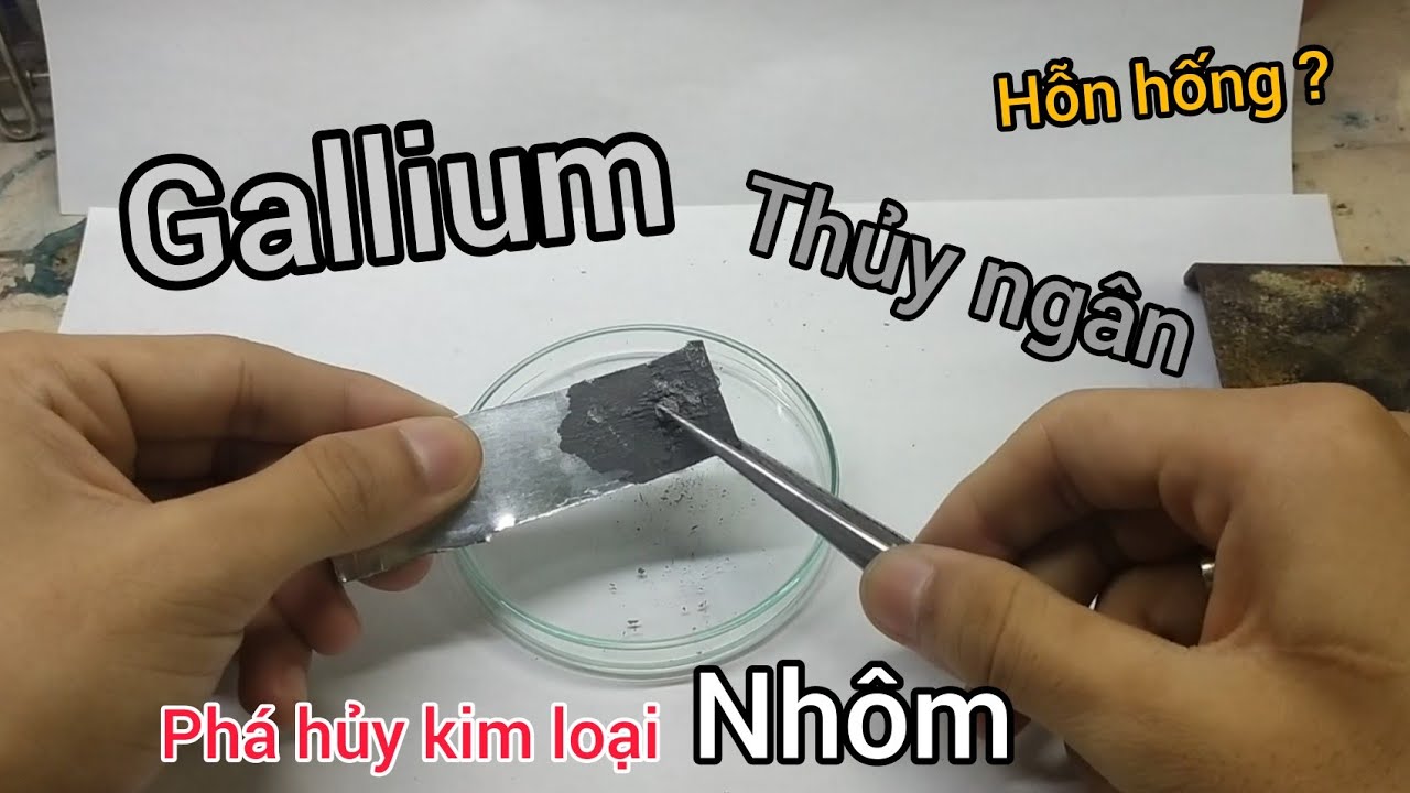 Tác động của kim loại nặng