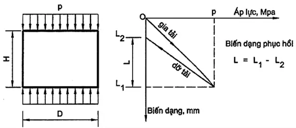 Xác định mô đun đàn hồi. Xác định mô đun đàn hồi.