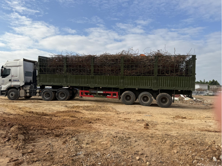 Thu mua phế liệu là cơ hội kinh tế hấp dẫn