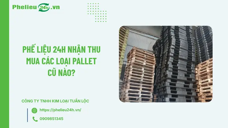 Phế Liệu 24h nhận thu mua các loại pallet cũ nào? Phế Liệu 24h nhận thu mua các loại pallet cũ nào?