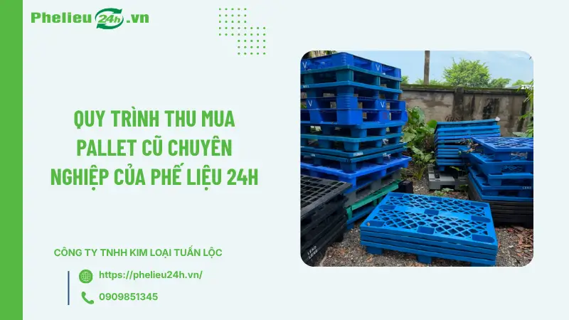 Quy trình thu mua pallet cũ chuyên nghiệp của Phế Liệu 24h Quy trình thu mua pallet cũ chuyên nghiệp của Phế Liệu 24h