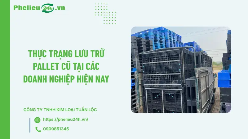 Thực trạng lưu trữ pallet cũ tại các doanh nghiệp hiện nay Thực trạng lưu trữ pallet cũ tại các doanh nghiệp hiện nay