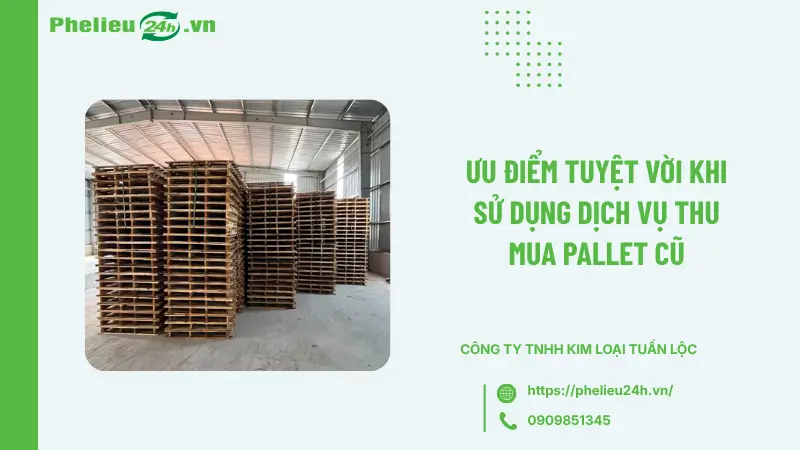 Ưu điểm tuyệt vời khi sử dụng dịch vụ thu mua pallet cũ Ưu điểm tuyệt vời khi sử dụng dịch vụ thu mua pallet cũ